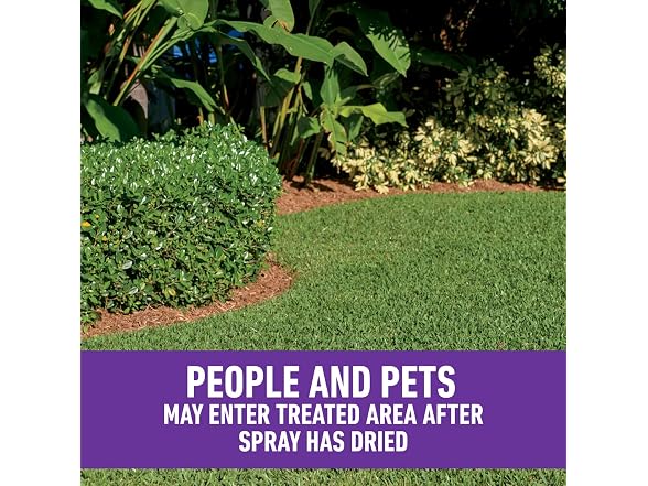 Roundup for Lawns Concentrate,  32 fl. oz.