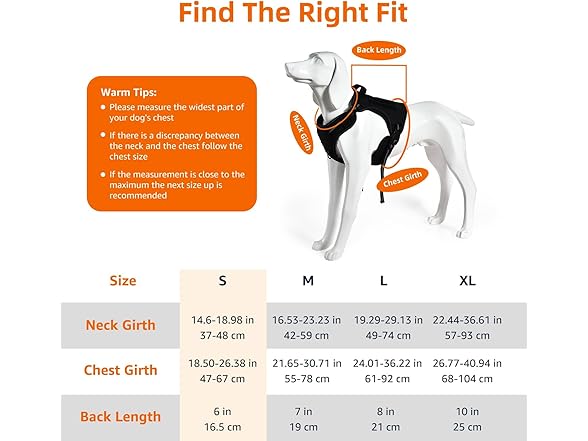 Amazon Basics No Pull Dog Harness