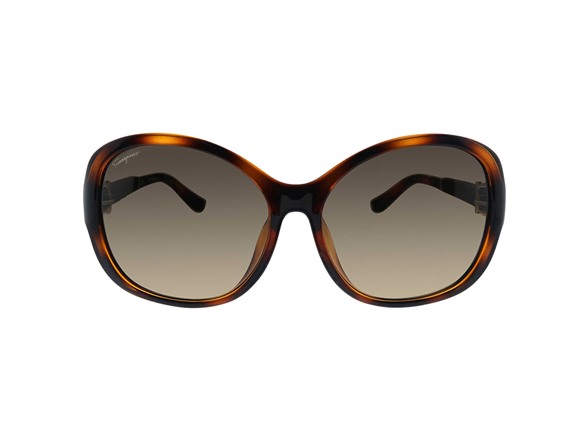 Ferragamo Women's 59mm Brown Sunglasses