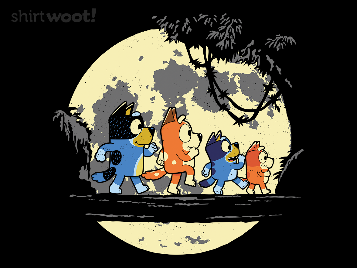 Follow My Lead - Gallery 4