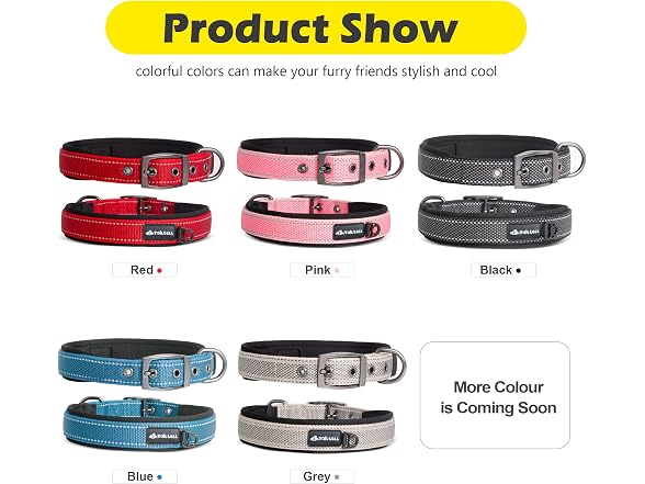 Sturdy Dog Collar for Small Medium Large Dog