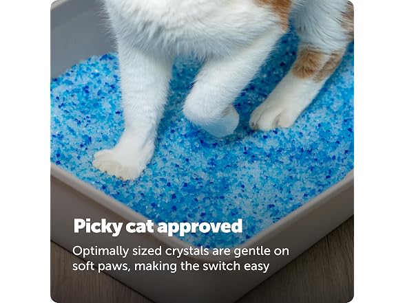 PetSafe ScoopFree Premium Crystal Litter, Fr
