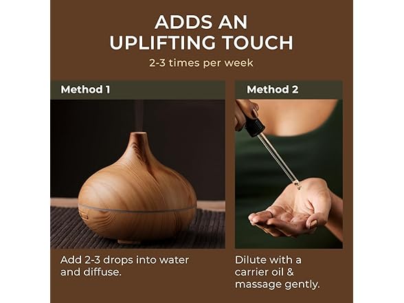 Gya Labs Pine Needle Essential Oil