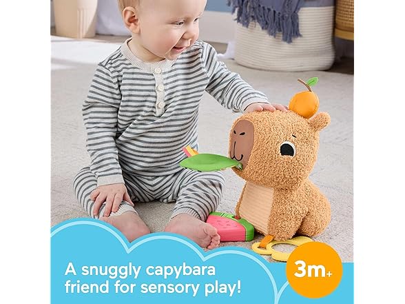Fisher-Price Baby Sensory Toy Capybara