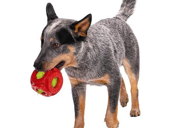 goDog Holiday Collection 2-in-1 Cage Ball Dog Toy