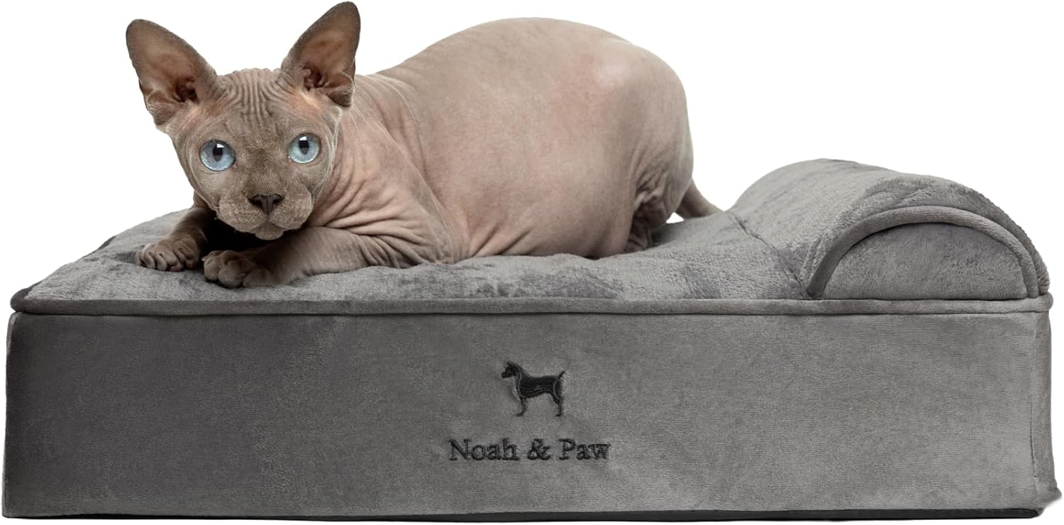 NOAH & PAW Orthopedic Dog Beds- Small - Gallery 14