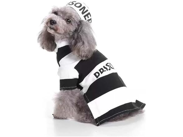 Pet Life ® 'Retro Inmate' Dog Costume
