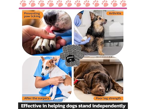 yucca Dog Anti Slip Paw Grips Traction