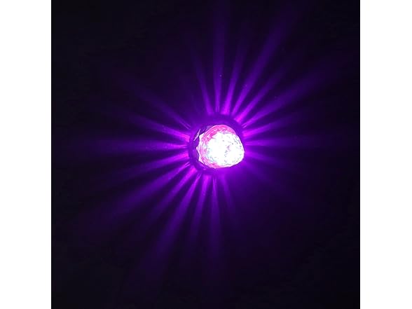 Jewel Light Clear Lens Purple LED