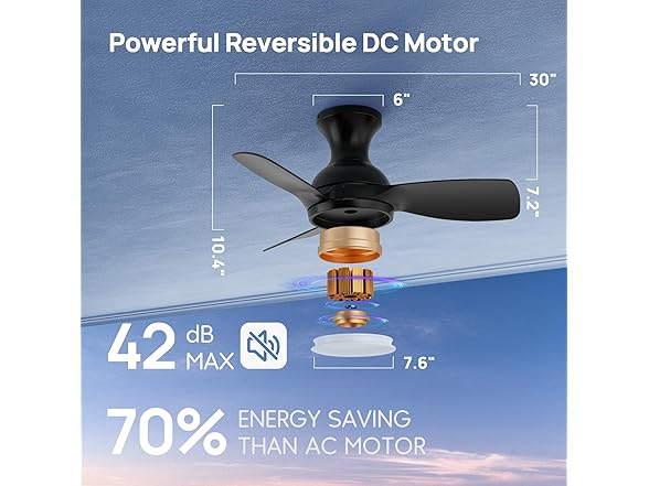 Consciot Ceiling Fan With Lights 30 Inch, Black