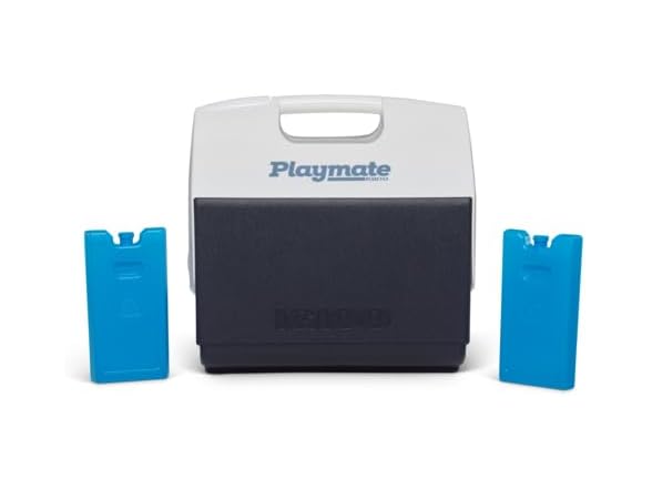 Igloo Medium Maxcold 2 Pack Ice Block