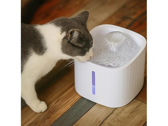DESSEI Quiet Cat Water Fountain with 4 filters