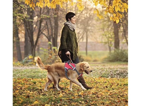 LMOBXEVL Service Dog Harness,No-Pull Dog Harn