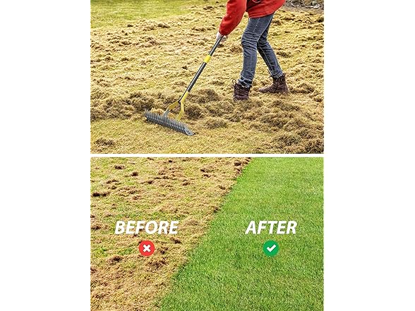 Thatch Rake, 2-in-1