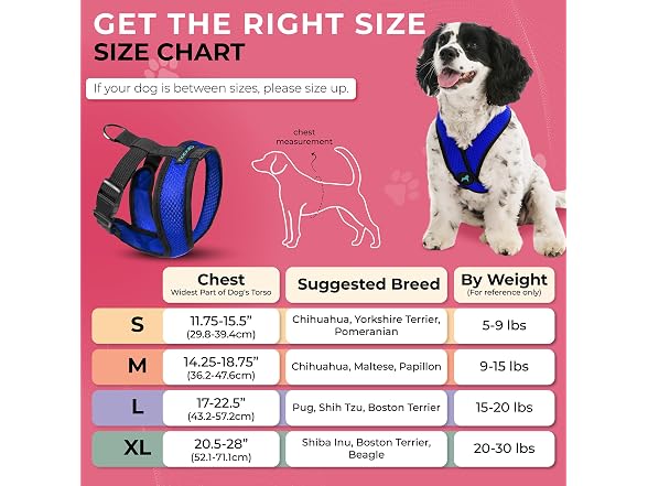Gooby Comfort X Head-in Dog Harness, Choke-Free, S