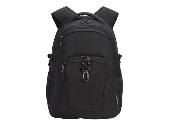 Amazon Basics Travel Laptop Backpack