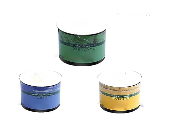 Refillable Car Air Freshener