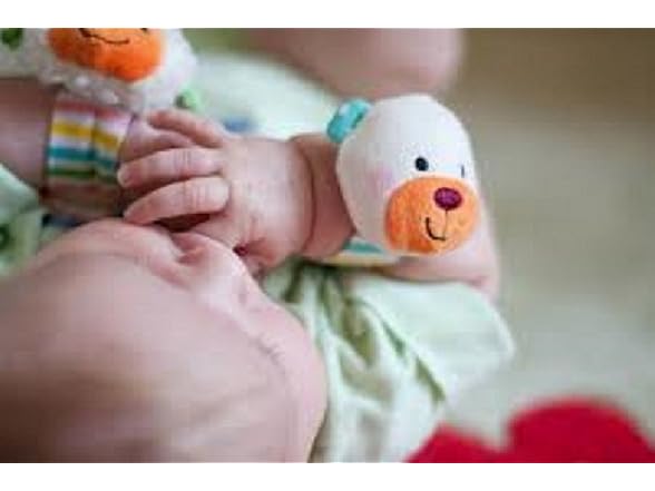 Infantino Wrist Rattles - Lamb and Bear