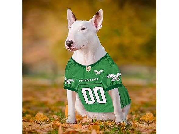 Pets NFL Throwback Dog Jersey XS Eagles