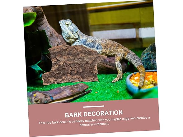 10pcs Lizards Decor Small Hide Fish Reptiles