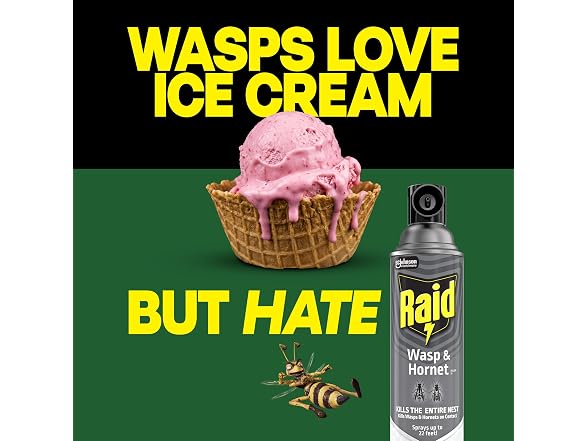 Raid GAR-03 Raid Wasp & Hornet Killer 14 Oz, 2 Ct