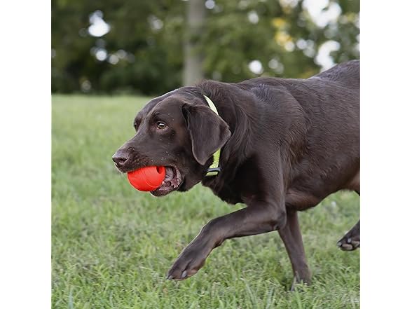 Chew King Flavored Rubber Ball Collection