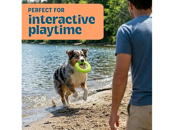 Pupstages Flex-Force Disc Dog Toy