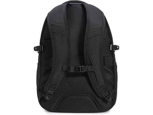 Amazon Basics Travel Laptop Backpack