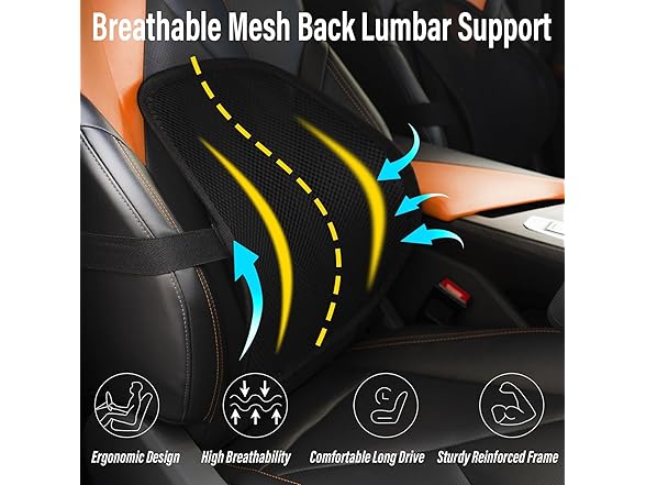 Lumbar Support Back Support (2 Pack)