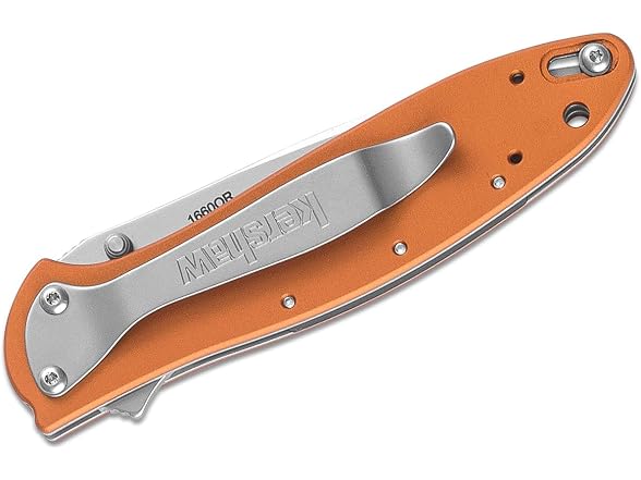 Kershaw Leek, BlackWash Pocket Knife