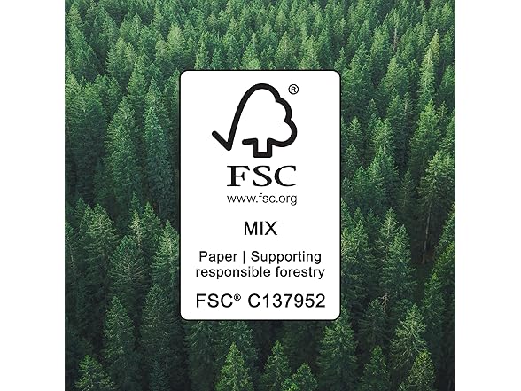 Amazon Basics Toilet Paper 30 Rolls