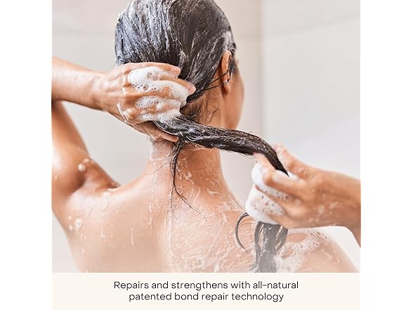 Everist The Shampoo Concentrate, 3.4 Oz