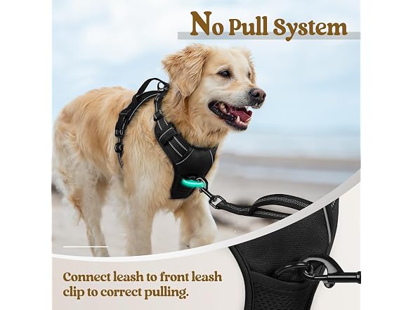 rabbitgoo Dog Harness, No Pull Medium Sized