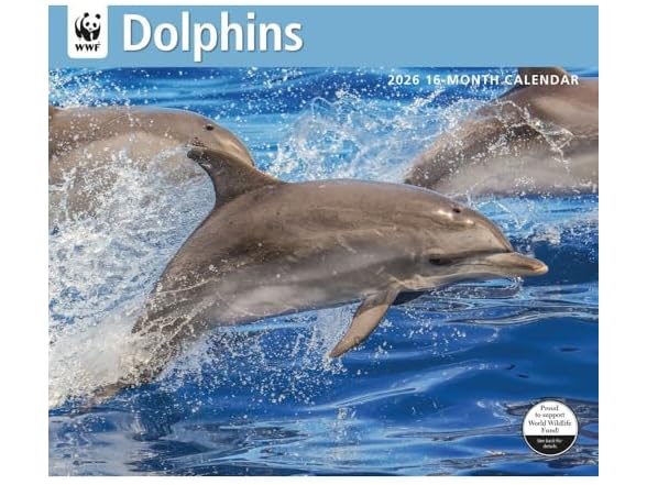 Carousel Calendars, Dolphins WWF 2026 W