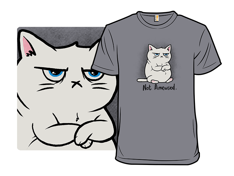 Not Amewsed - Gallery 3