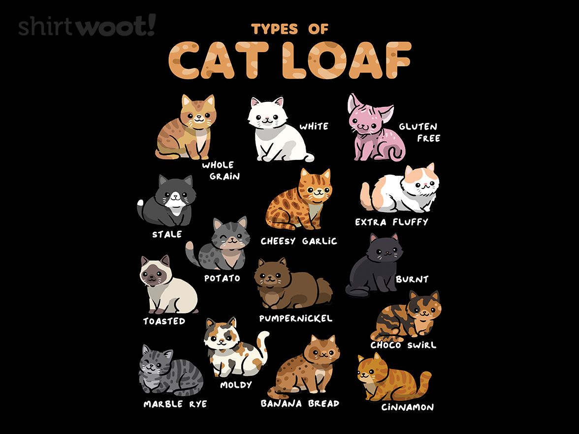 Types of Cat Loaf - Gallery 4
