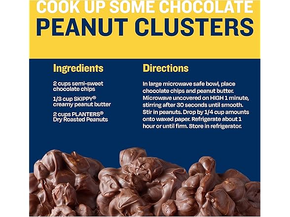 PLANTERS Salted Peanuts, Dry Roasted Peanuts, 16 oz