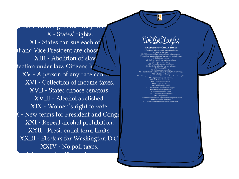 Constitution Cheat Sheet - Gallery 3