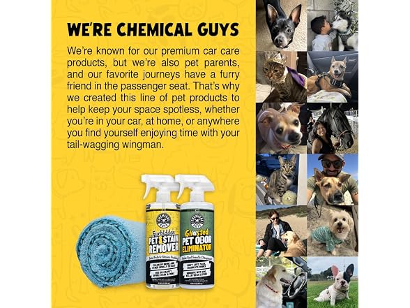 Chemical Guys Pet Mess Cleaning Kit