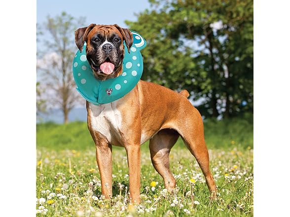 BigMouth Frog Inflatable Recovery Collar
