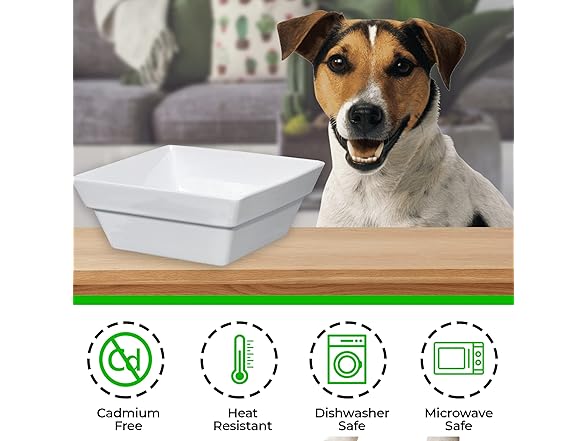 Bowsers Replacement Bowl for Replus Meshidai El