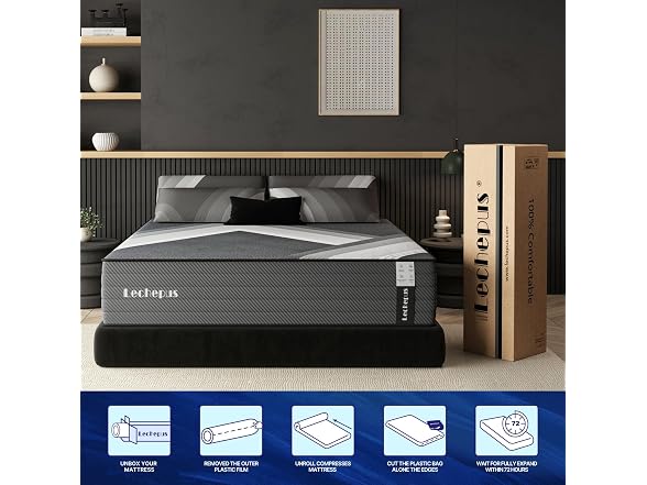 Lechepus 10Inch Queen Mattress in Box