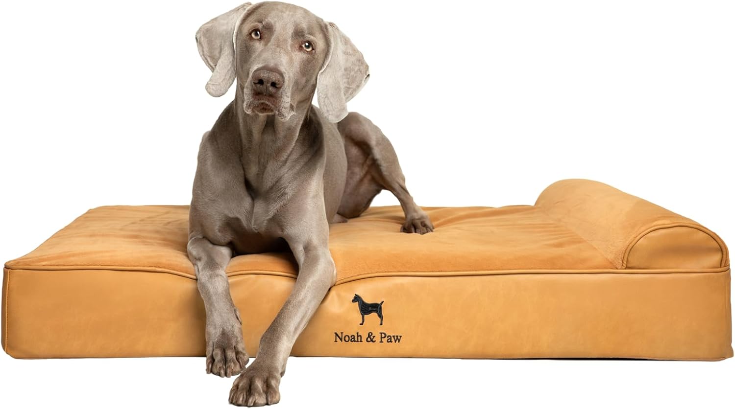 NOAH & PAW Orthopedic Dog Beds- XLarge - Gallery 12