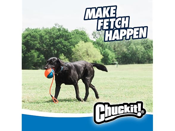 Chuckit! Rope Fetch Dog Toy - Ball on Rope Fe