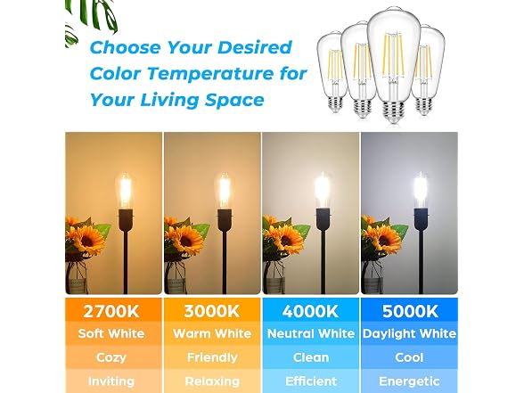 Sucolite 4-Pack Vintage E26 LED Edison Bulbs
