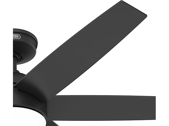 Hunter Fan 52 inch Black Indoor Ceiling Fan w/ Light