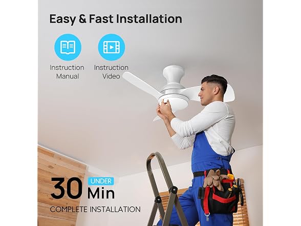 Consciot Ceiling Fan With Lights 30 Inch