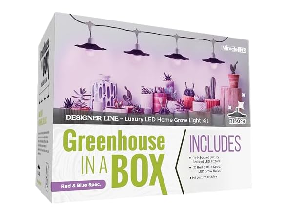 Grow Light 4-Socket Black Purple 4KK