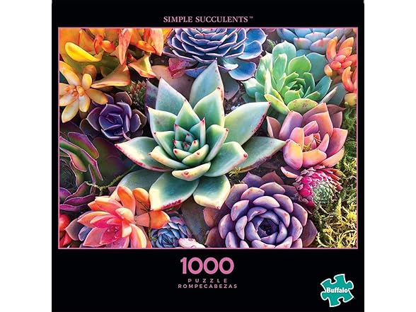 James Mertke - Simple Succulent - 1000 Piece Jigsaw Puzzle