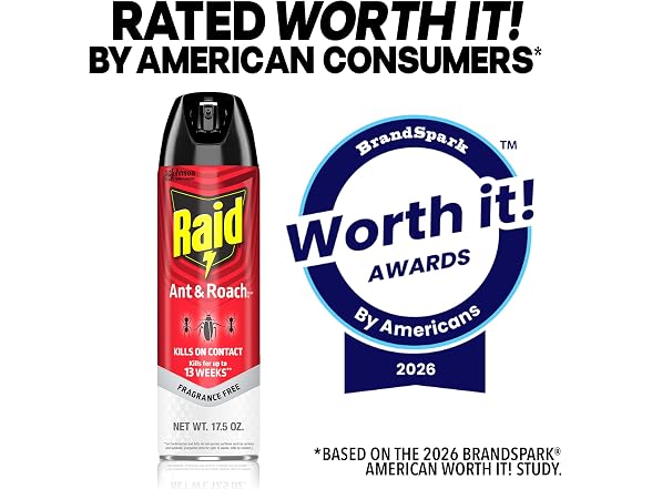 Raid GAR-95 Ant & Roach Killer, 2 Count
